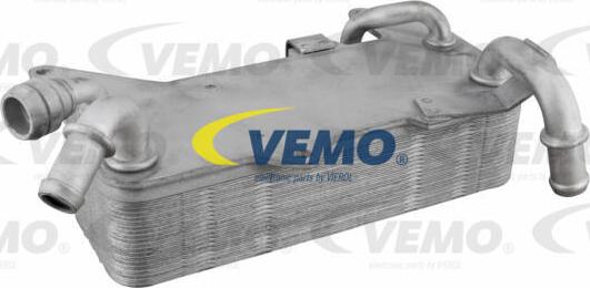 Vemo V10-60-0044 - Radiatore olio, Cambio automatico autozon.pro