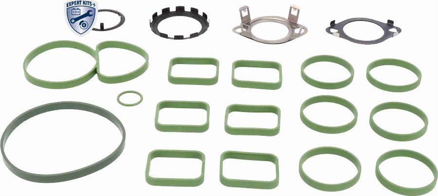 Vemo V10-77-0080 - Kit guarnizioni, Collettore aspirazione autozon.pro