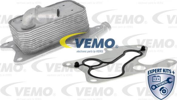 Vemo V30-60-1341 - Radiatore olio, Olio motore autozon.pro