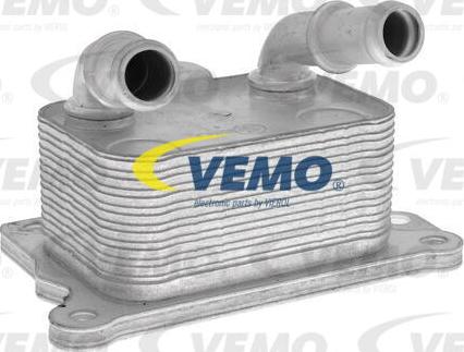 Vemo V30-60-1348 - Radiatore olio, Olio motore autozon.pro