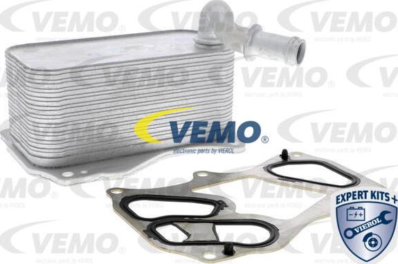 Vemo V30-60-1342 - Radiatore olio, Olio motore autozon.pro