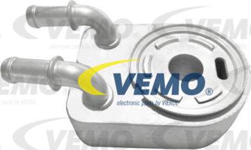 Vemo V33-60-0019 - Radiatore olio, Olio motore autozon.pro