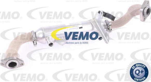 Vemo V24-63-0020 - Radiatore, Ricircolo gas scarico autozon.pro