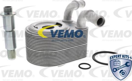 Vemo V25-60-0049 - Radiatore olio, Olio motore autozon.pro