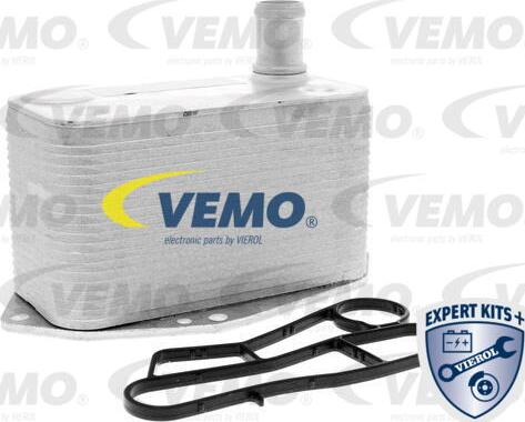 Vemo V20-60-0057 - Radiatore olio, Olio motore autozon.pro