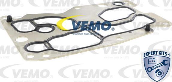 Vemo V20-60-0076 - Radiatore olio, Olio motore autozon.pro