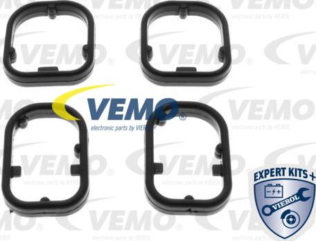 Vemo V20-60-1565 - Kit guarnizioni, Radiatore olio autozon.pro