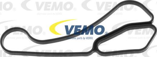 Vemo V20-60-1562 - Guarnizione, Radiatore olio autozon.pro