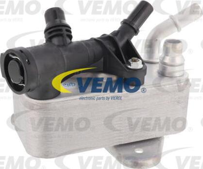 Vemo V20-60-1531 - Radiatore olio, Cambio automatico autozon.pro