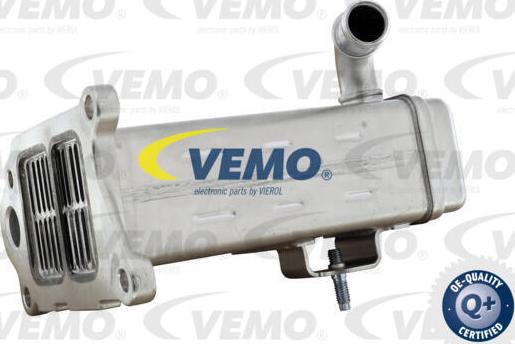 Vemo V22-63-0031 - Radiatore, Ricircolo gas scarico autozon.pro