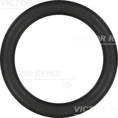 Victor Reinz 40-76919-00 - Guarnizione, Collettore aspirazione autozon.pro