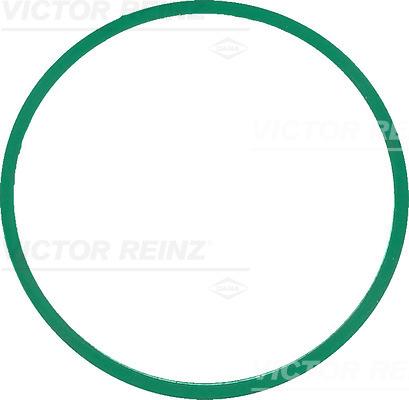 Victor Reinz 40-77586-00 - Guarnizione, Collettore aspirazione autozon.pro