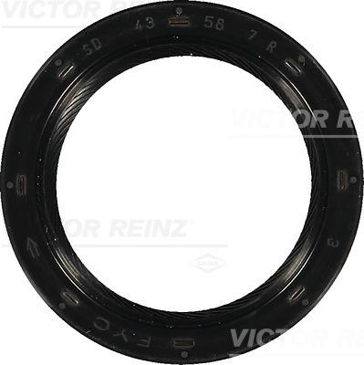 Victor Reinz 81-53807-00 - Paraolio, Albero a gomiti autozon.pro