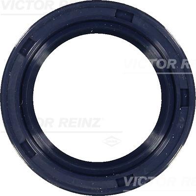 Victor Reinz 81-53394-00 - Paraolio, Albero a camme autozon.pro