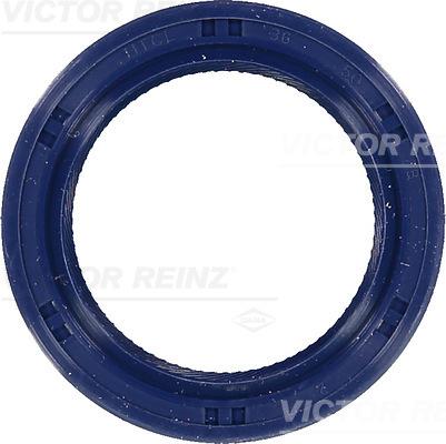 Victor Reinz 81-53251-00 - Paraolio, Albero a camme autozon.pro