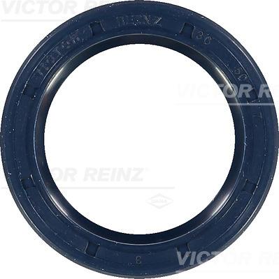 Victor Reinz 81-26244-00 - Paraolio, Albero a camme autozon.pro