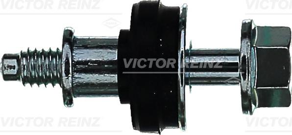 Victor Reinz 70-39583-00 - Bullone, Copritestata autozon.pro