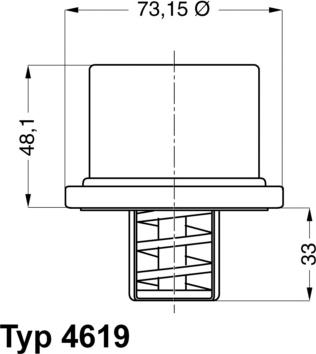 WAHLER 4619.80 - Termostato, Refrigerante autozon.pro