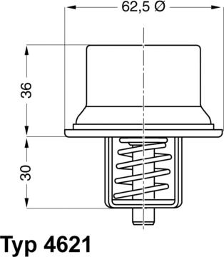 WAHLER 4621.80D - Termostato, Refrigerante autozon.pro