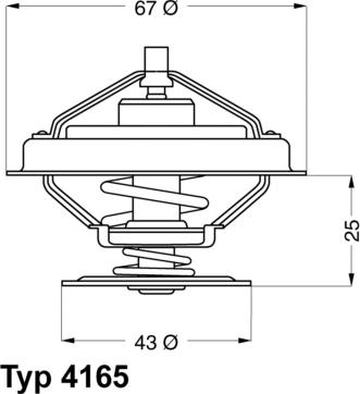 WAHLER 416579D - Termostato, Refrigerante autozon.pro