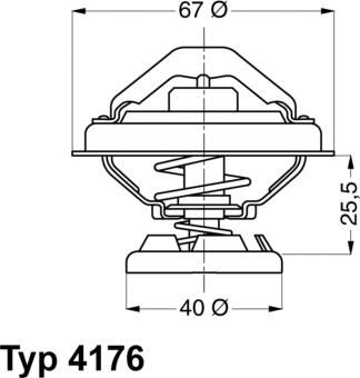 WAHLER 4176.80D - Termostato, Refrigerante autozon.pro