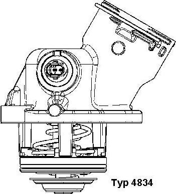 WAHLER 4834.100D - Termostato, Refrigerante autozon.pro