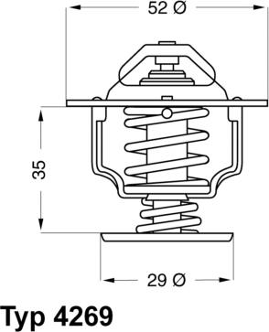 WAHLER 426978D - Termostato, Refrigerante autozon.pro