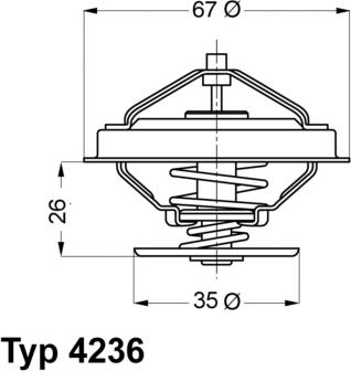 WAHLER 4236.88D - Termostato, Refrigerante autozon.pro