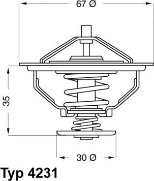 WAHLER 4231.80D - Termostato, Refrigerante autozon.pro