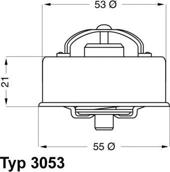 WAHLER 3053.75 - Termostato, Refrigerante autozon.pro