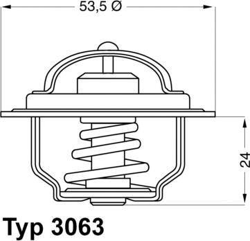 WAHLER 3063.75 - Termostato, Refrigerante autozon.pro