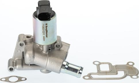 WAHLER 710831D1 - Valvola ricircolo gas scarico-EGR autozon.pro