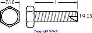 WAI 84-1419 - Bullone / Vite autozon.pro