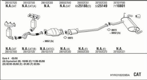 Walker HYK018209BA - Impianto gas scarico autozon.pro