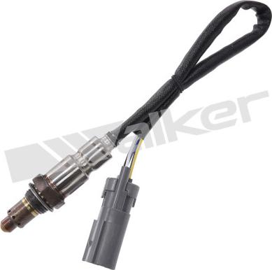 Walker Products 800-95037 - Sonda lambda autozon.pro