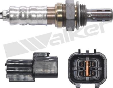 Walker Products 250-24909 - Sonda lambda autozon.pro