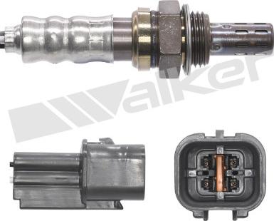 Walker Products 250-24908 - Sonda lambda autozon.pro