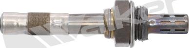 Walker Products 250-24446 - Sonda lambda autozon.pro