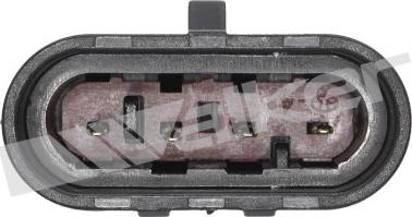 Walker Products 250-24531 - Sonda lambda autozon.pro