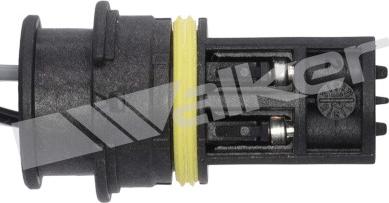 Walker Products 250-24141 - Sonda lambda autozon.pro