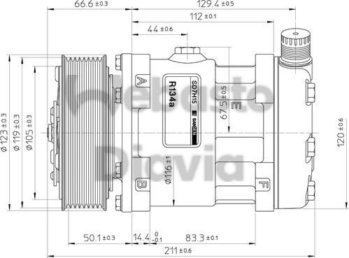 Webasto 82D015506MA - Compressore, Climatizzatore autozon.pro