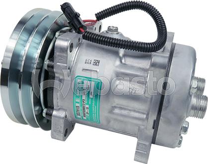 Webasto 82D0156150MA - Compressore, Climatizzatore autozon.pro