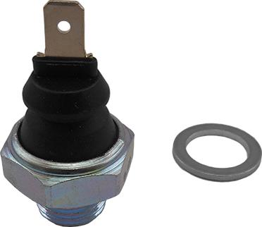 WE PARTS 411200038 - Sensore, Pressione olio autozon.pro