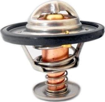 WE PARTS 421150060 - Termostato, Refrigerante autozon.pro