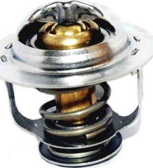 WE PARTS 421150163 - Termostato, Refrigerante autozon.pro