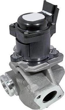 WE PARTS 330690281 - Valvola ricircolo gas scarico-EGR autozon.pro