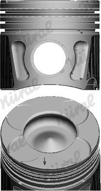 Wilmink Group WG1939099 - Pistone autozon.pro