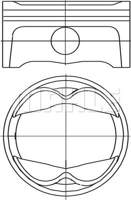 Wilmink Group WG1937965 - Pistone autozon.pro