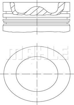 Wilmink Group WG1937923 - Pistone autozon.pro