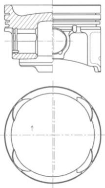 Wilmink Group WG1924760 - Pistone autozon.pro